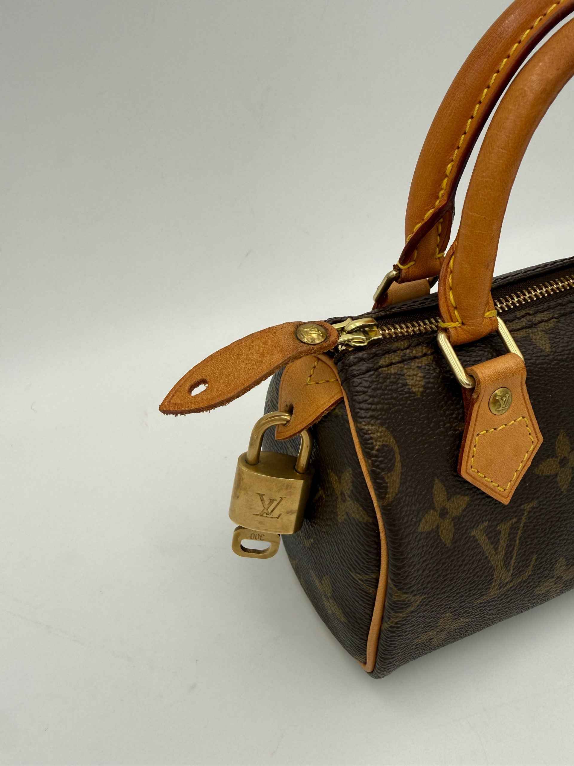 Louis Vuitton LOUIS VUITTON Nano Speedy Monogram Handbag