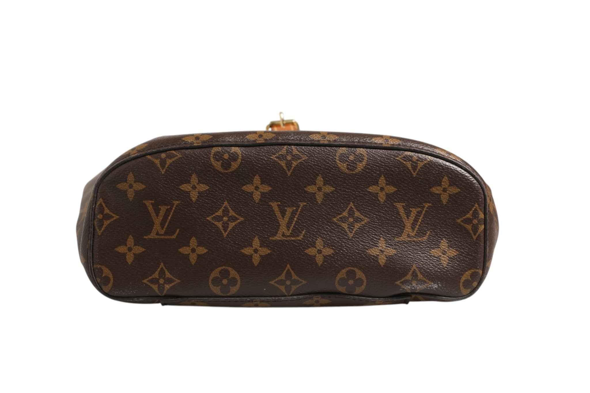 Louis Vuitton Monogram Canvas Montsouris Backpack