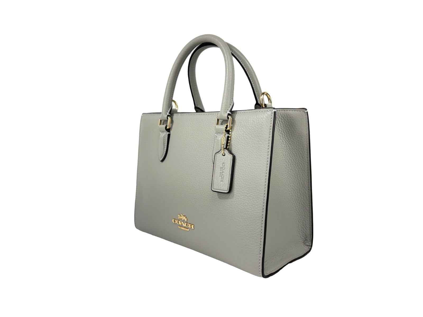 COACH Coach Maggie Small Leather Crossbody Tote Bag