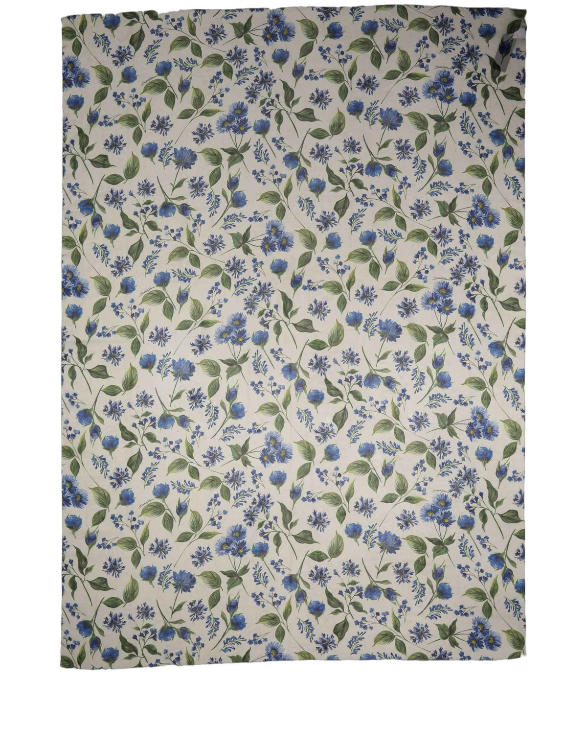 Dolce & Gabbana White Blue Floral Polyester Stole Scarf