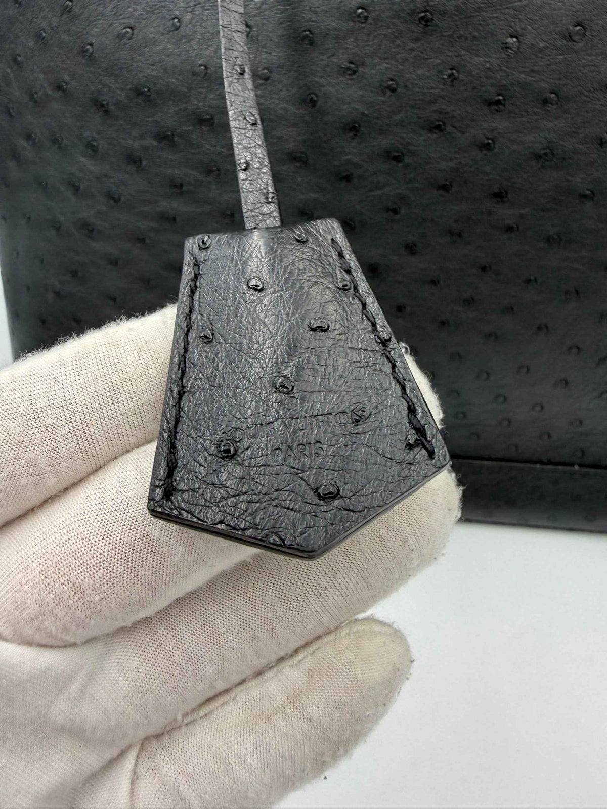 Louis Vuitton LOUIS VUITTON Alma GM in Ostrich Leather Handbag