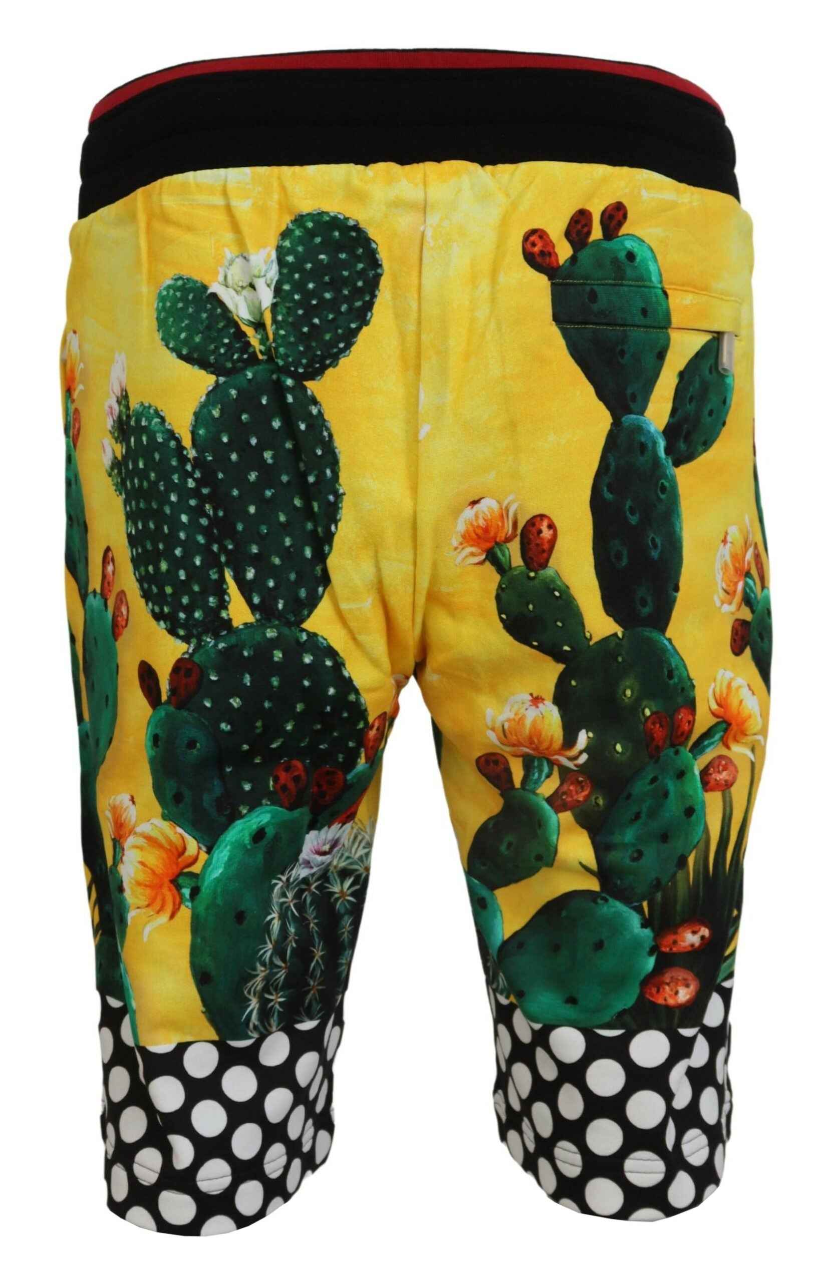 Dolce & Gabbana Multicolor Cactus Print Cotton Sweat Shorts