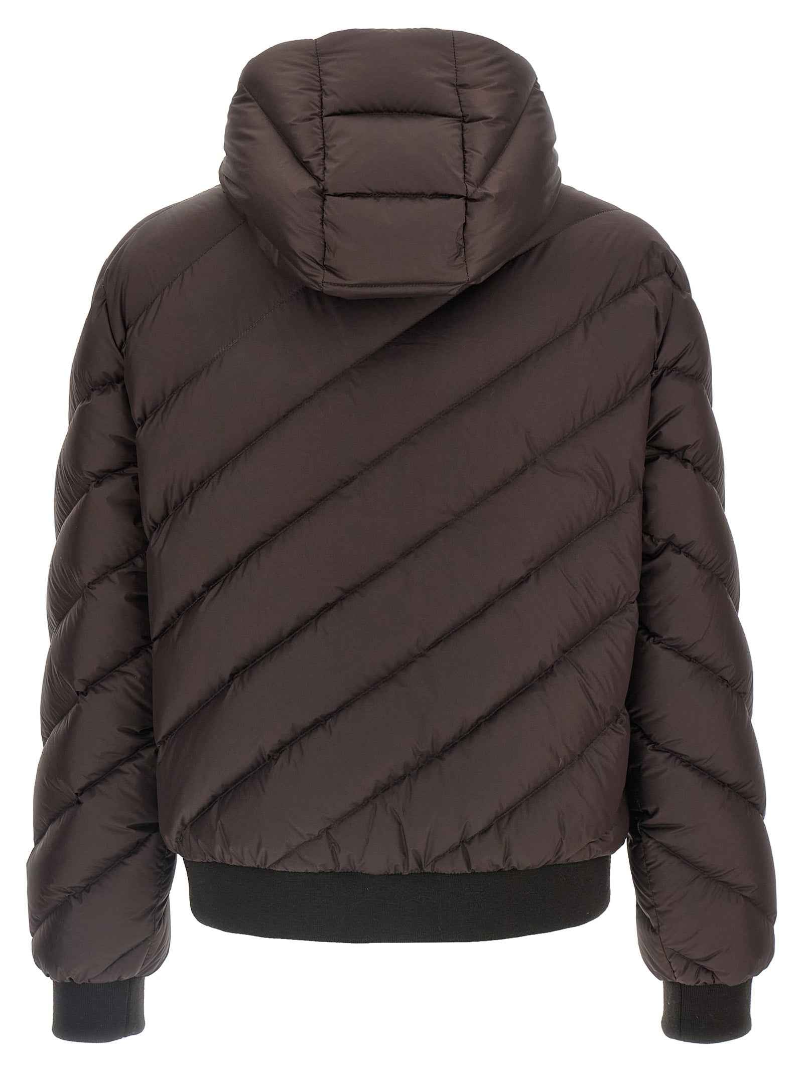 Fendi Multicolor Polyester Shell Jacket
