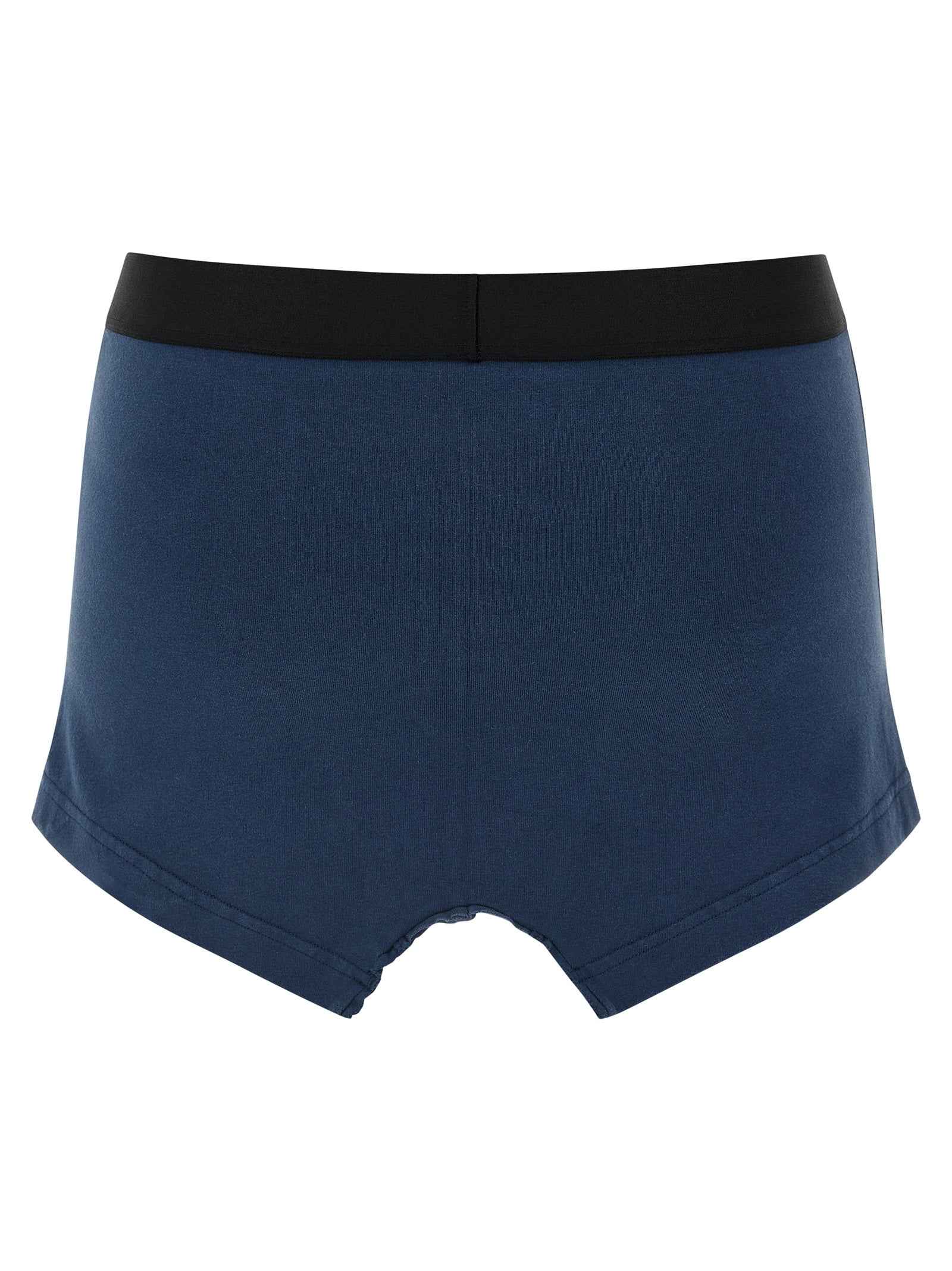 Balenciaga Blue Cotton Long Skirt