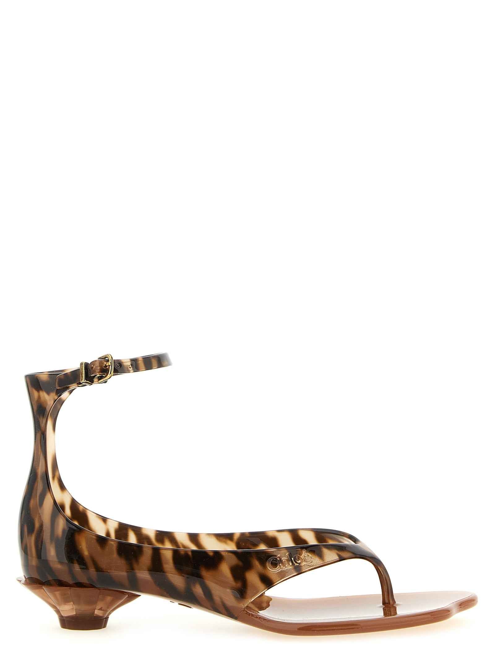 Chloé Brown Polyurethane Mid Heel Pumps