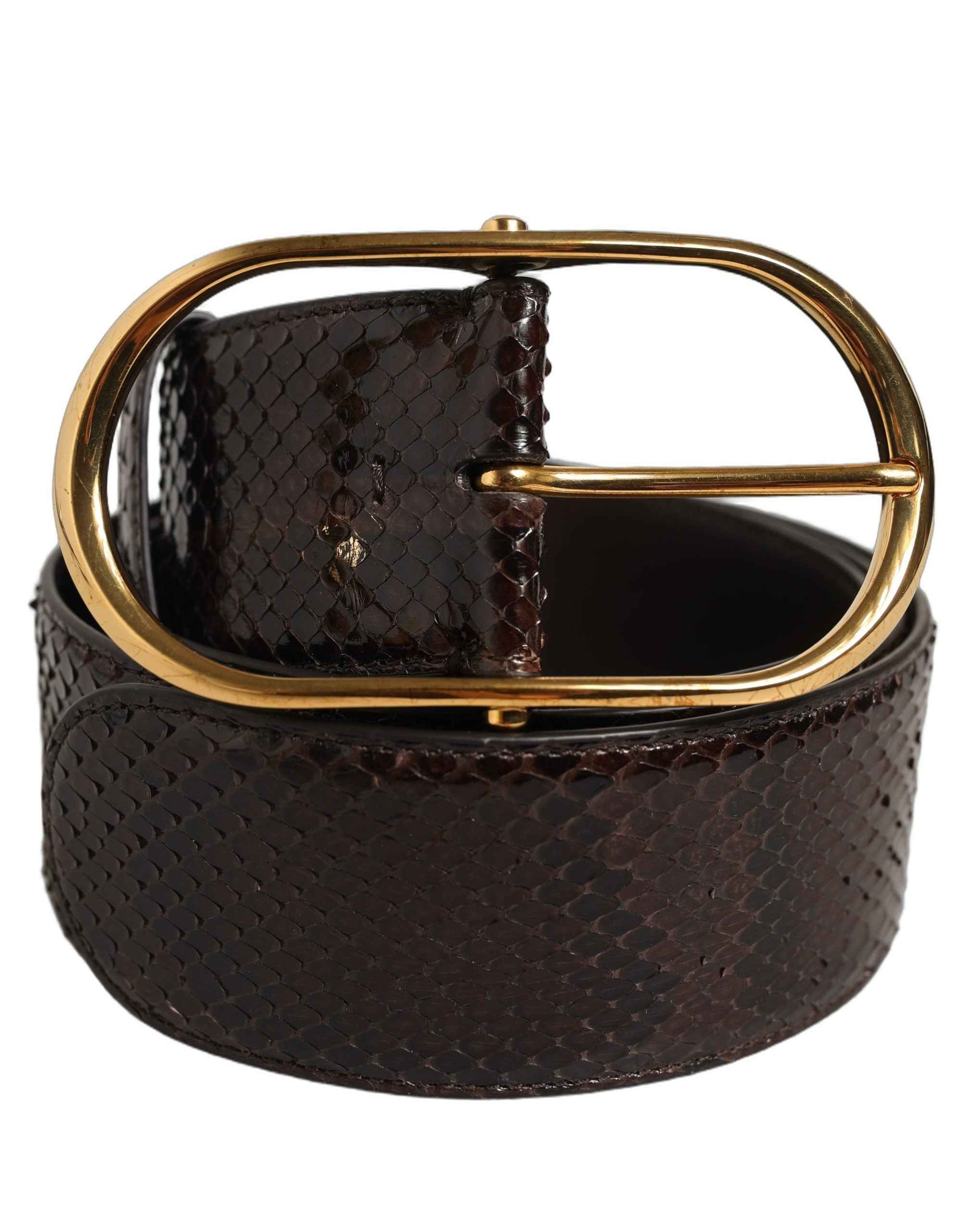Dolce & Gabbana Brown Python Leather Gold Metal Buckle Belt