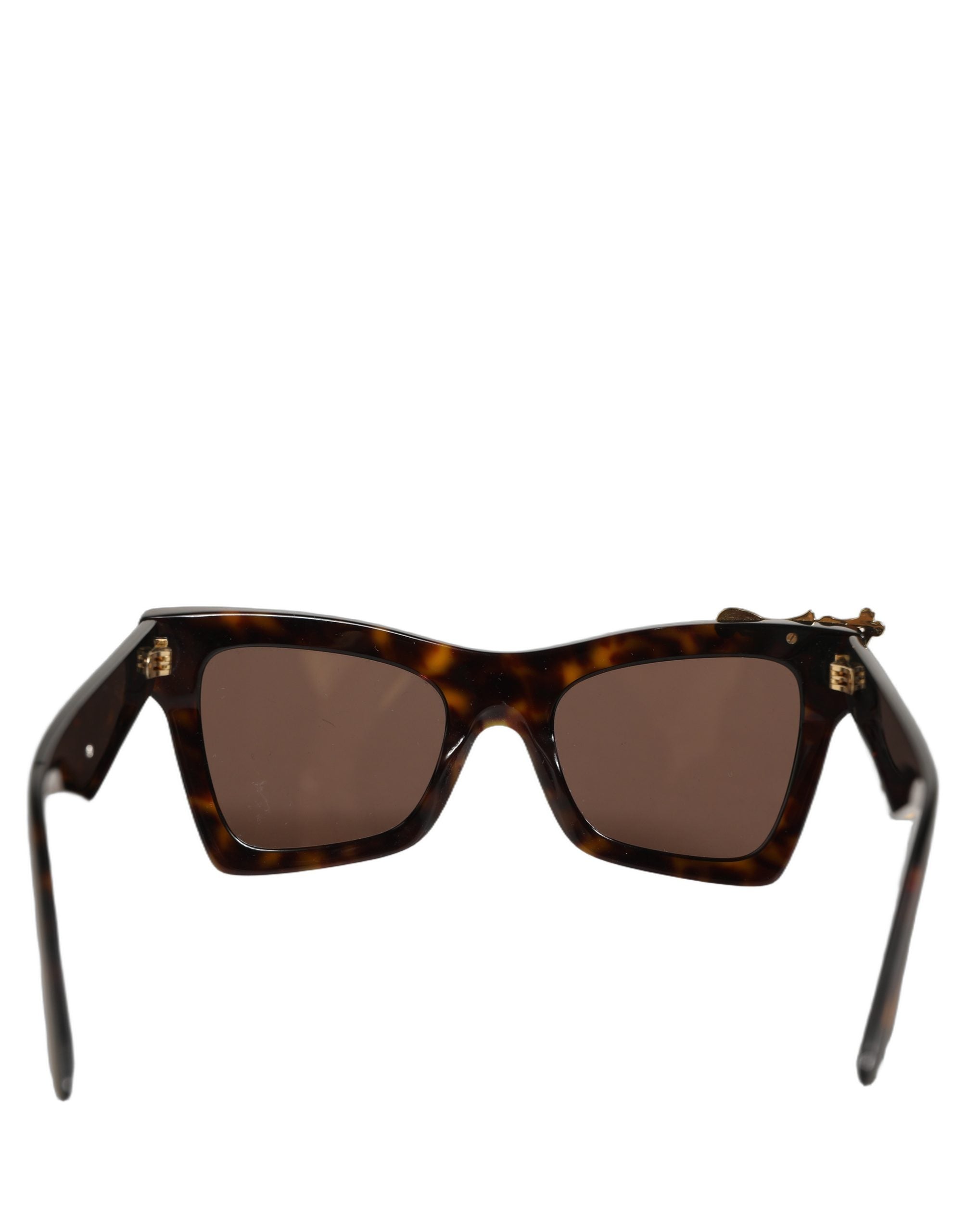 Dolce & Gabbana Brown DG4434 Accent Havana Acetate Frame Sunglasses