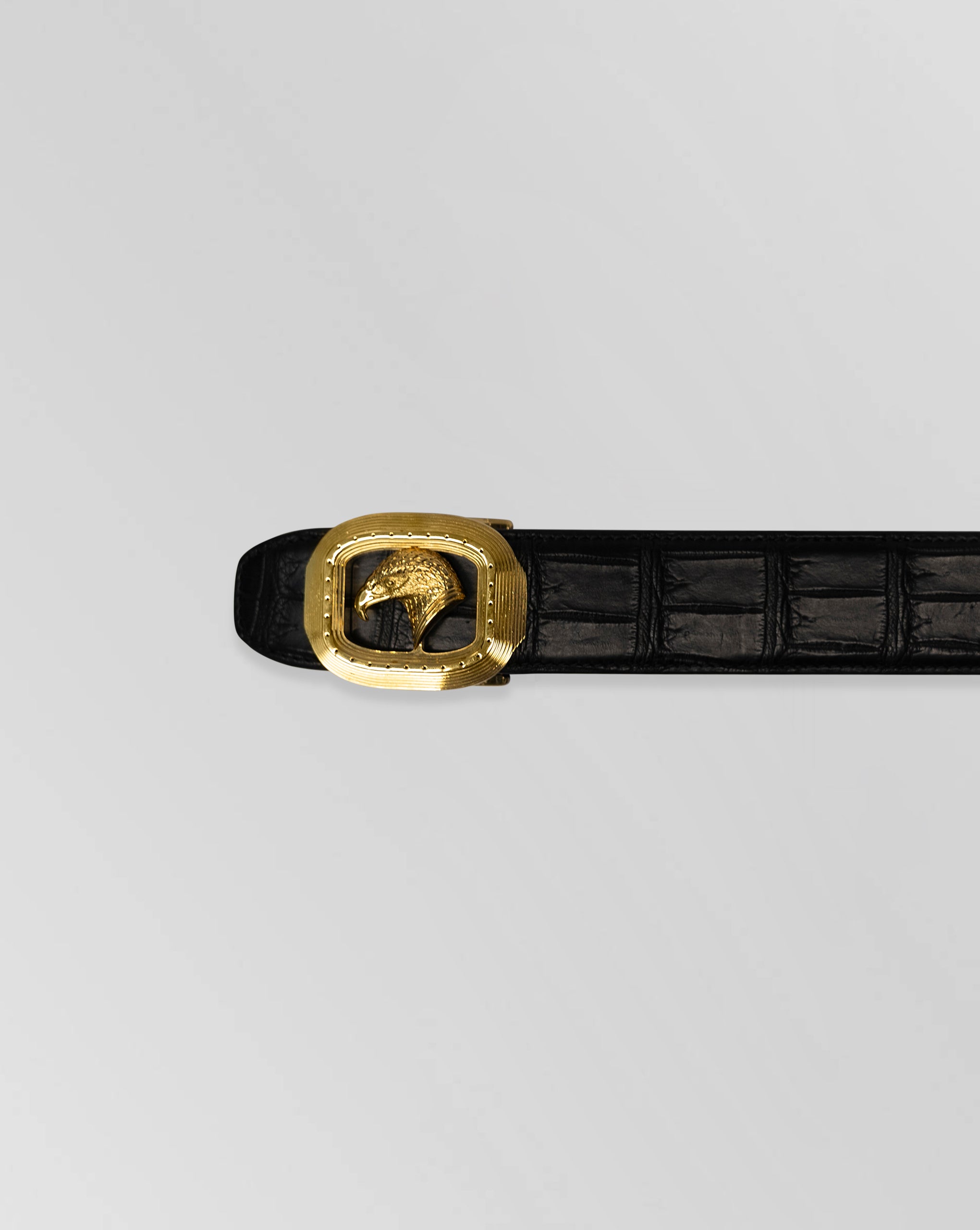 Stefano Ricci Crocodile Leather Belt Eagle Gold Buckle